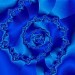 La rosa blu